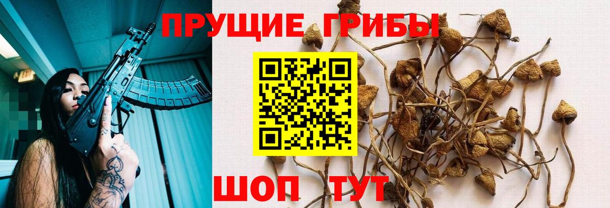 Ярцево  Псилоцибиновые грибы мицелий  Вход с VPN 
